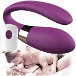 Boss Series V Vibe – Zbozi.Blesk.cz