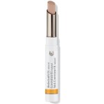 Dr Hauschka Coverstick Korektor na nedokonalosti pleti 01 Natural 2 g – Zboží Mobilmania