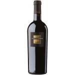 San Marzano Sessantanni Primitivo 14,5% 0,75 l (holá láhev) – Hledejceny.cz