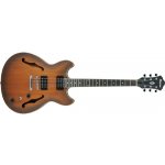 Ibanez AS 53 – Hledejceny.cz