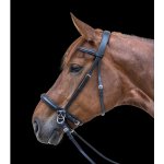 WALDHAUSEN Uzdečka bezudidlová Star černá – Zboží Dáma