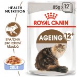 Royal Canin Feline Ageing 12 + Jelly 12 x 85 g – Hledejceny.cz