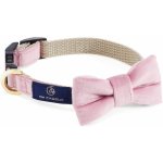 OH CHARLIE Obojek pro psy Aurora Gold – Zboží Mobilmania