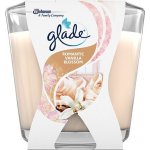 Glade Romantic Vanilla Blossom 204 g – Zboží Mobilmania
