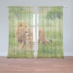 Sablio Záclony Lev a lvice: 2ks 150x250cm – Hledejceny.cz