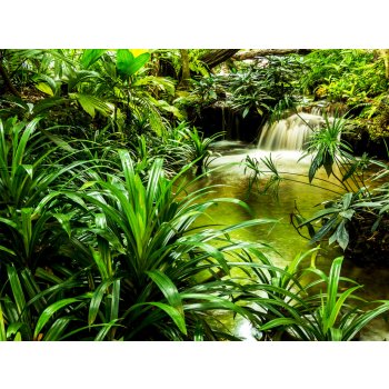 AG Design Fototapeta na zeď - Vodopád příroda džungle - FTN XXL 2491 360 x 270 cm