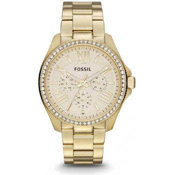 Fossil AM 4482