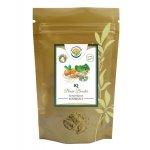 Salvia Paradise IQ Brain Booster prášek 80 g – Hledejceny.cz