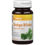 Vitaking Ginkgo Biloba 60 mg Leaf Extract 90 kapslí – Hledejceny.cz