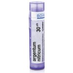 ARGENTUM NITRICUM POR 30CH GRA 1X4G – Hledejceny.cz
