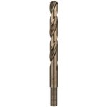 Bosch 2608585869 – Hledejceny.cz