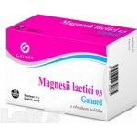 Galmed Magnesii lactici 0,5 g 100 tablet – Hledejceny.cz
