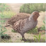 Black Flash Archery Terč na lukostřelbu Koroptev – Hledejceny.cz