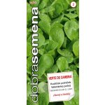 SEMO Dobrá semena Kozlíček polníček Verte de Cambrai 2 g – Zboží Dáma