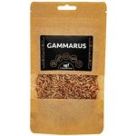 UGF Sušený gammarus 20 g – Zbozi.Blesk.cz