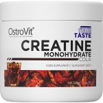 OstroVit Creatine Monohydrate, 300 g – Zboží Mobilmania