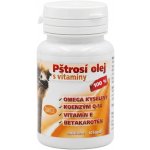 Camelus Pštrosí olej s vitamíny 60 kapslí – Hledejceny.cz