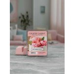 Country Candle Sugared Peony Vonný Vosk 64 g – Zboží Dáma