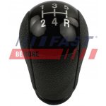 FAST FT73229 | Zboží Auto