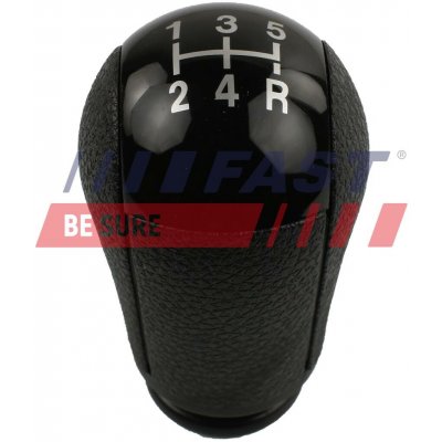 FAST FT73229 | Zboží Auto