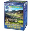 Čaj Everest Ayurveda himalájský bylinný čaj KANTAKARI 100 g