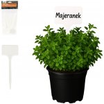 Bestent Jmenovky na rostliny 14,5 cm 30ks – Sleviste.cz