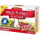 Terezia Company Brusinky AKUT 10 kapslí