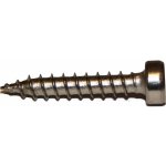 Vruty pro kluzáky 4,2x24mm T20 nerez A2 – Hledejceny.cz