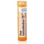 RHUS TOXICODENDRON POR 15CH GRA 4G – Zboží Mobilmania