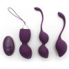 Rimba Rimini Kegel Ball Training Set