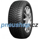 Evergreen EW62 205/55 R16 91H