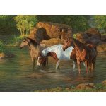 Cobble Hill Koně v řece 500 dílků – Zboží Mobilmania