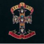 Guns N' Roses - Appetite For Destruction LP – Hledejceny.cz