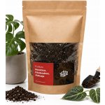 Urban Jungle pro Monstery, Filodendrony, Alokázie a Epipremna Bigos 5 l – Hledejceny.cz