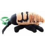 Šváb syčící 20 cm – Sleviste.cz