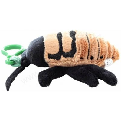 Šváb syčící 20 cm – Sleviste.cz