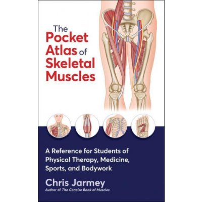 The Pocket Atlas of Skeletal Muscles