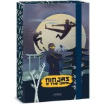 Ars Una A5 Ninjas in the Dark – Hledejceny.cz