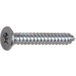DIN7982C 4.8x 25 Torx25 pozink zápustná hlava vrut do plechu ~ISO14586 (1000 ks) – Hledejceny.cz
