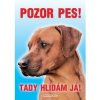 Autovýbava Grel nálepka pozor pes ridgeback