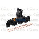 VAICO V10-6484 – Hledejceny.cz