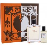 Hermès Terre D'Hermès toaletní voda pánská 100 ml – Sleviste.cz