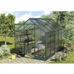 Vitavia Apollo 6200 polykarbonát 4 mm 195 x 323 cm zelený – Hledejceny.cz