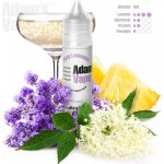 Adams vape S&V Fizzy Lavender 10 ml – Zboží Mobilmania