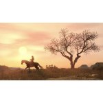 Red Dead Redemption – Zbozi.Blesk.cz