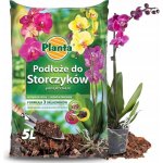 Planta Substrát pro orchideje 5 L – Zboží Mobilmania