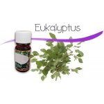 Slow-Natur Essential vonný olej Eukalyptus 10 ml – Zbozi.Blesk.cz