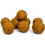 Krmiva Kratonohy BOILIES basic SWEET CORN 20 mm 2,5 kg – Hledejceny.cz