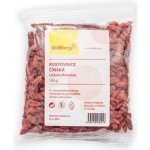 Wolfberry Goji Kustovnice čínská 100 g – Zboží Mobilmania