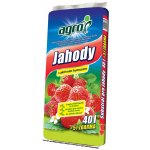 Agro CS Substrát pro jahody 45 l – Zboží Mobilmania